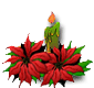 Vela Navidad